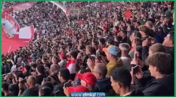 قرار جديد السماح بدخول المدرجات مجاناً في كأس إفريقيا 2025 بالمغرب